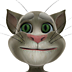 Talking Tom